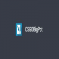 CSGObigpot.com
