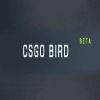 CSGObird.com