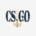 CSGOwise.com