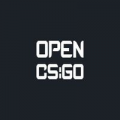 openCSGO.com