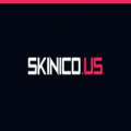 Skinico.us